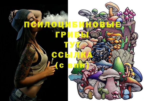spice Кулебаки